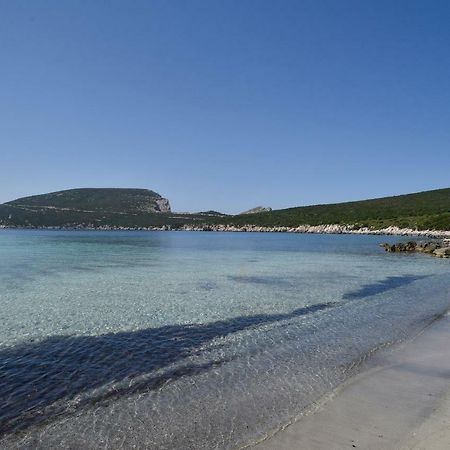 Villa Margherita Alghero Exterior foto